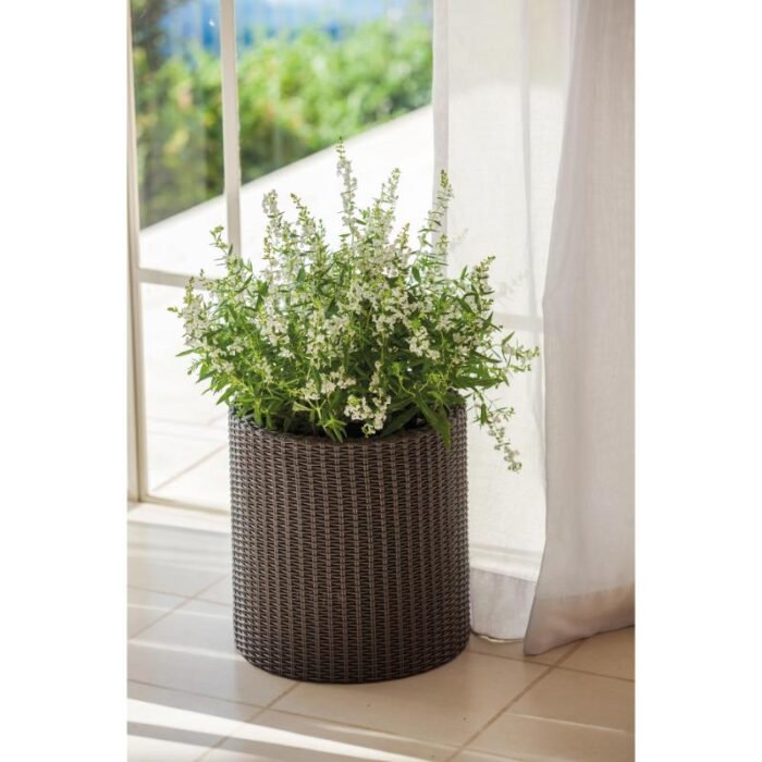 Lillepott Cylinder S pruun - Image 4