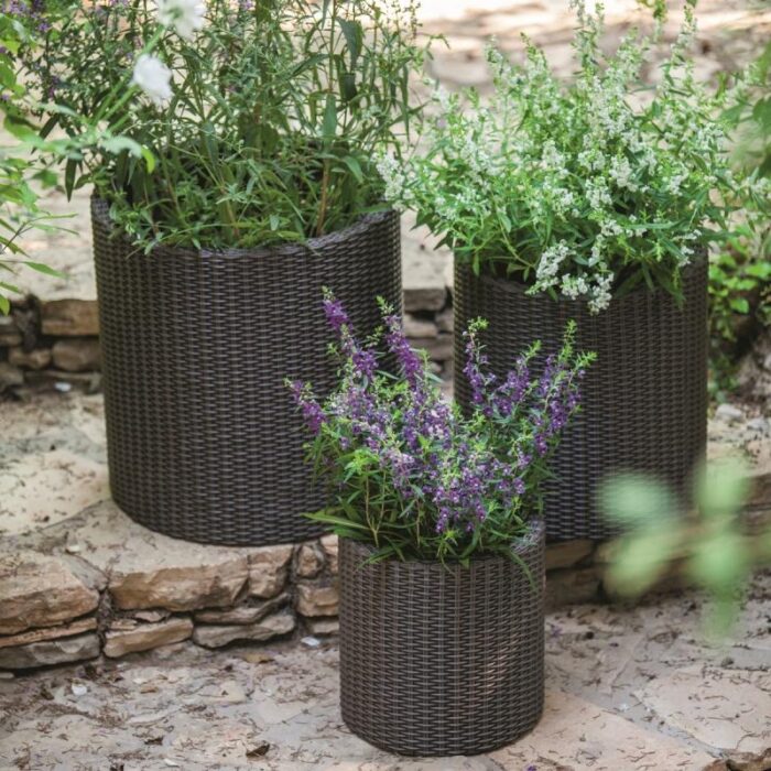 Lillepott Cylinder M pruun - Image 4