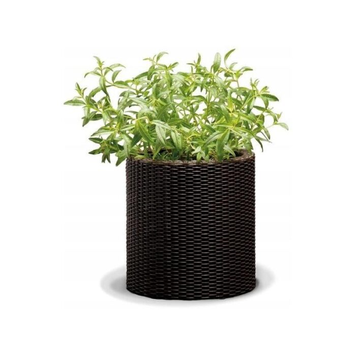 Lillepott Cylinder L pruun Keter - Image 2