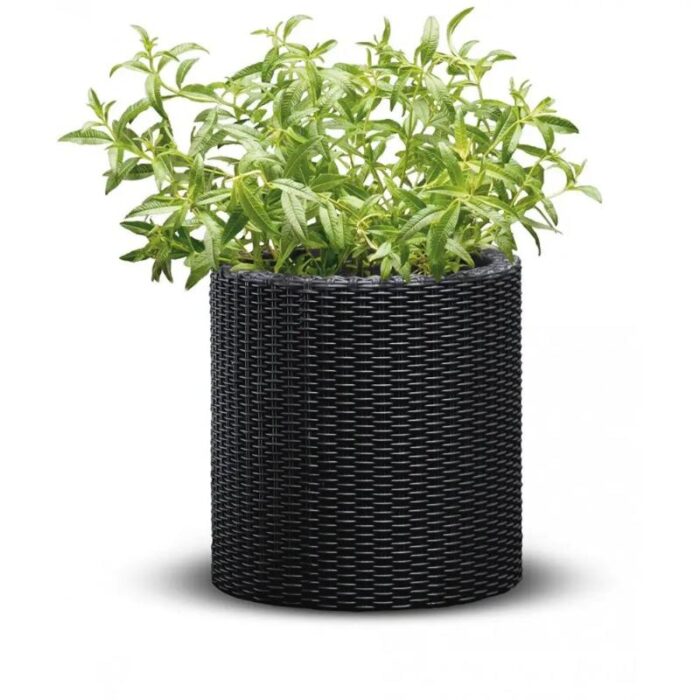 Lillepott Cylinder S antratsiit - Image 2