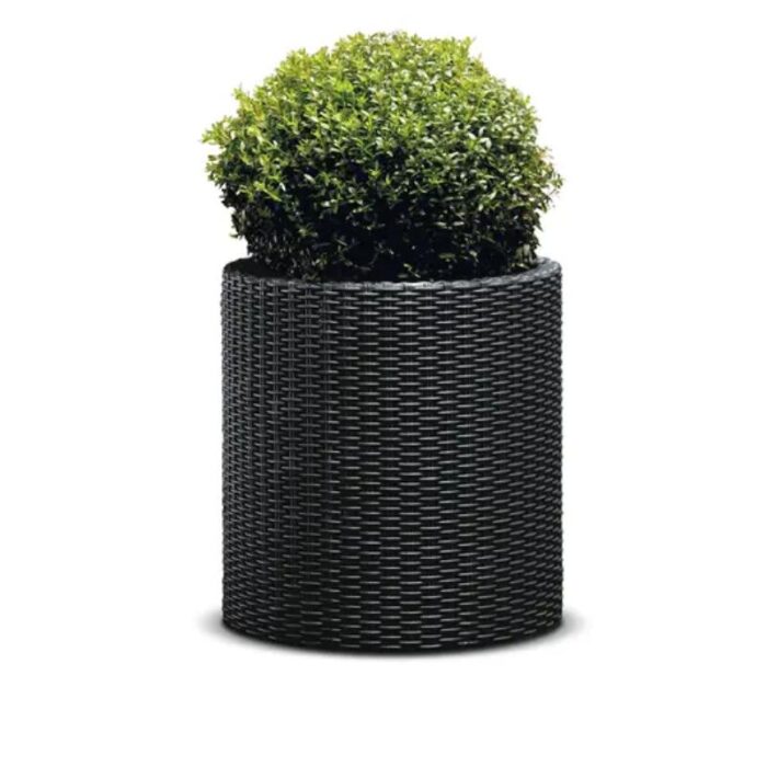 Lillepott Cylinder M antratsiit - Image 3