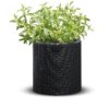 Lillepott Cylinder M antratsiit - Image 2