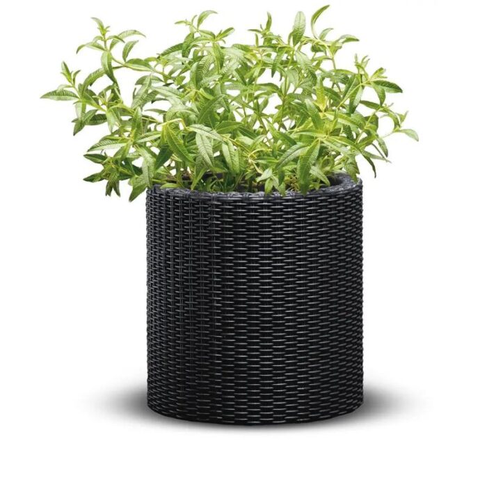 Lillepott Cylinder M antratsiit - Image 2