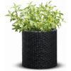 Lillepott Cylinder L antratsiit - Image 2