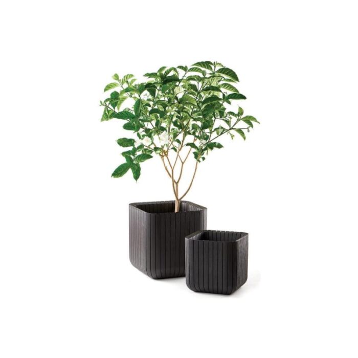 Lillekast Cube M, pruun - Image 2