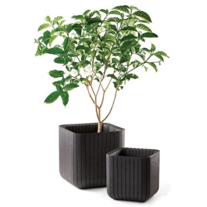 Lillekast Cube M, antratsiit - Image 2