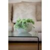 Ampel Cozy S, hall - Image 2