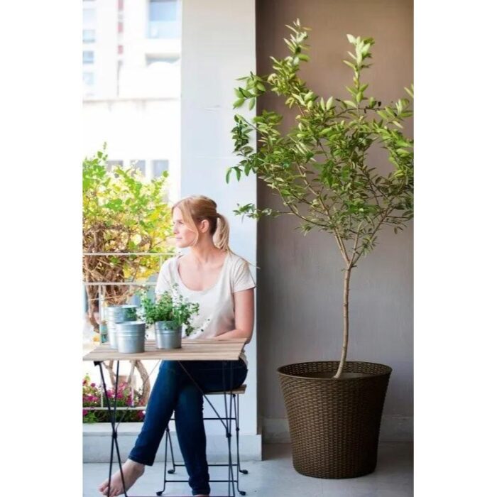 Lillepott Conic 56l pruun Keter - Image 3