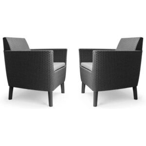 Aiatoolid Salemo 2tk, grafiit