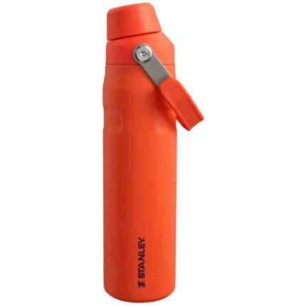 Joogipudel Stanley Aerolight™ IceFlow™ Fast Flow 0.6L Tigerlily
