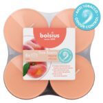 Lõhna-teeküünlad Maxi 8h, virsik True Scents 8tk