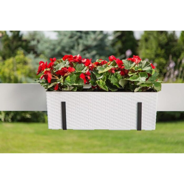 Rõdu lillekastihoidja, metallist Begonia - Image 3