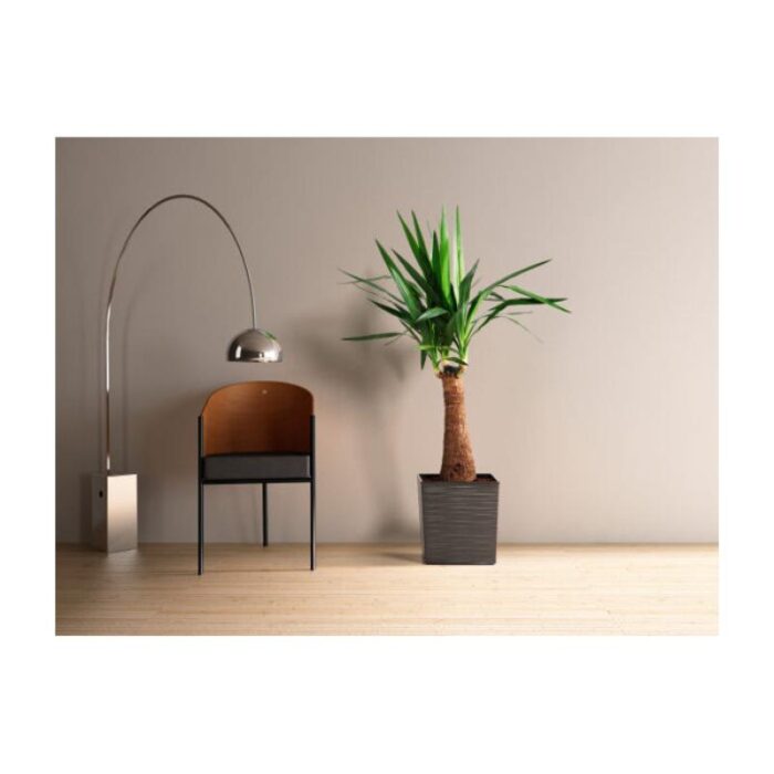 Lillekast Juka Dluto XS 19x19cm, grafiit