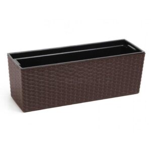 Rõdukast Begonia Rotang, moka