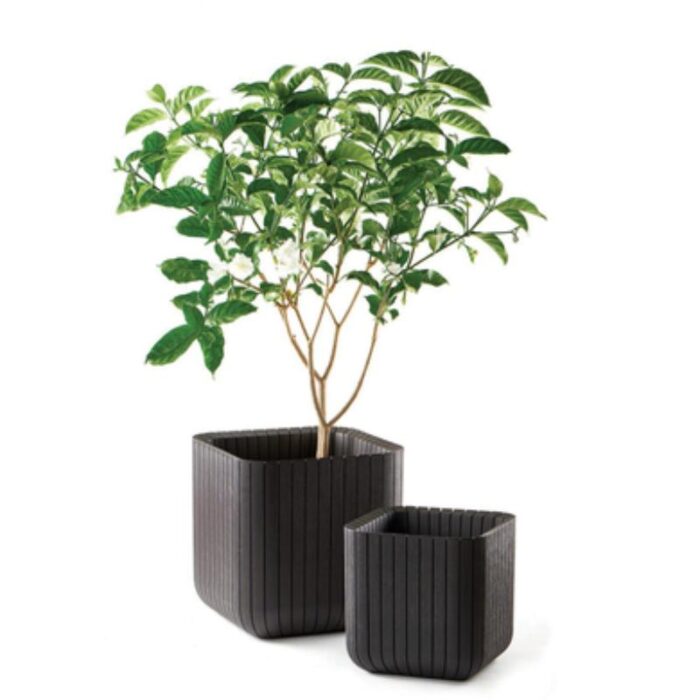 Lillekast Cube L 39x39x39cm, antratsiit Keter - Image 3