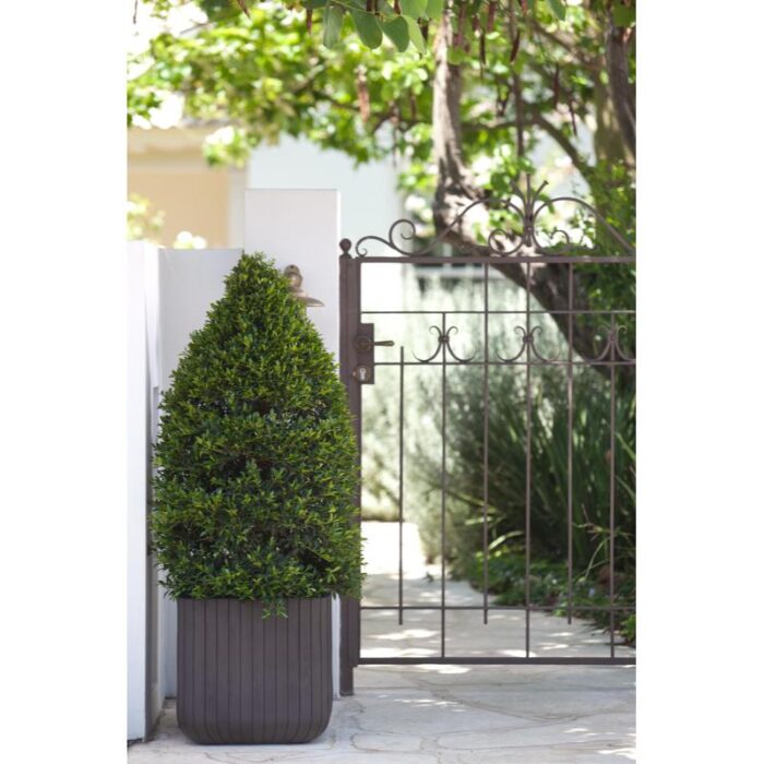 Lillekast Cube L 39x39x39cm, antratsiit Keter - Image 4