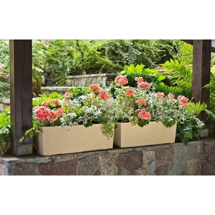 Rõdukast Begonia Rotang, must - Image 3