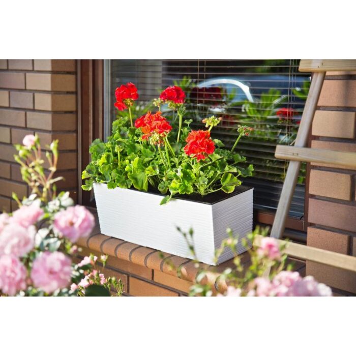 Rõdukast Begonia Dluto, grafiit - Image 3