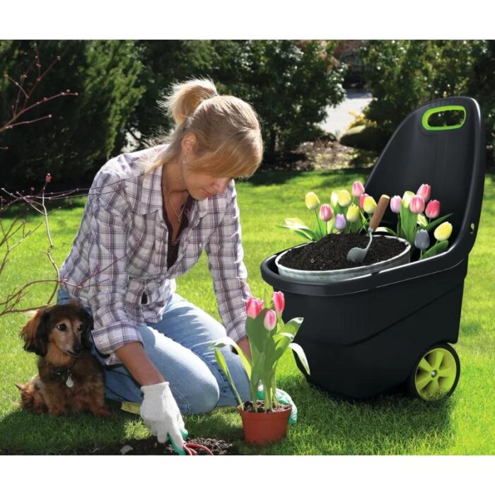 Aiakäru Easy Go XL 62l, antratsiit Keter