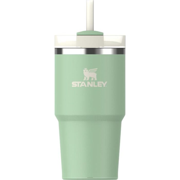 Joogitermos Stanley Cup Quencher H2.0 Pistachio 0,6L