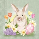 Salvrätt Jänes 33x33cm, 20tk Toro