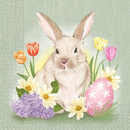 Salvrätt Jänes 33x33cm, 20tk Toro