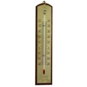 Sisetermomeeter (-30°/+50°)