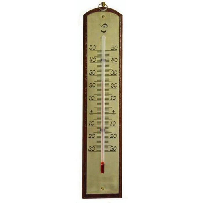 Sisetermomeeter (-30°/+50°)