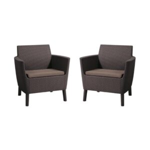 Aiatoolid Salemo 2tk, pruun