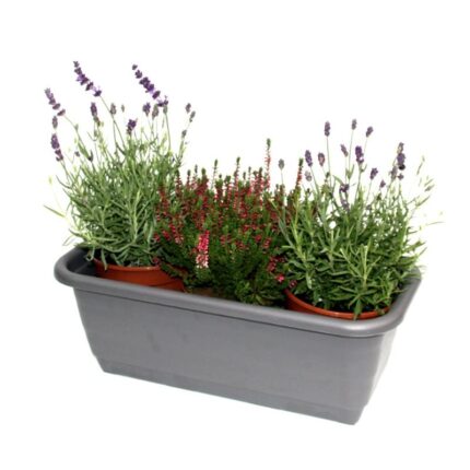 Rõdukast Natura 40x19cm, grafiit